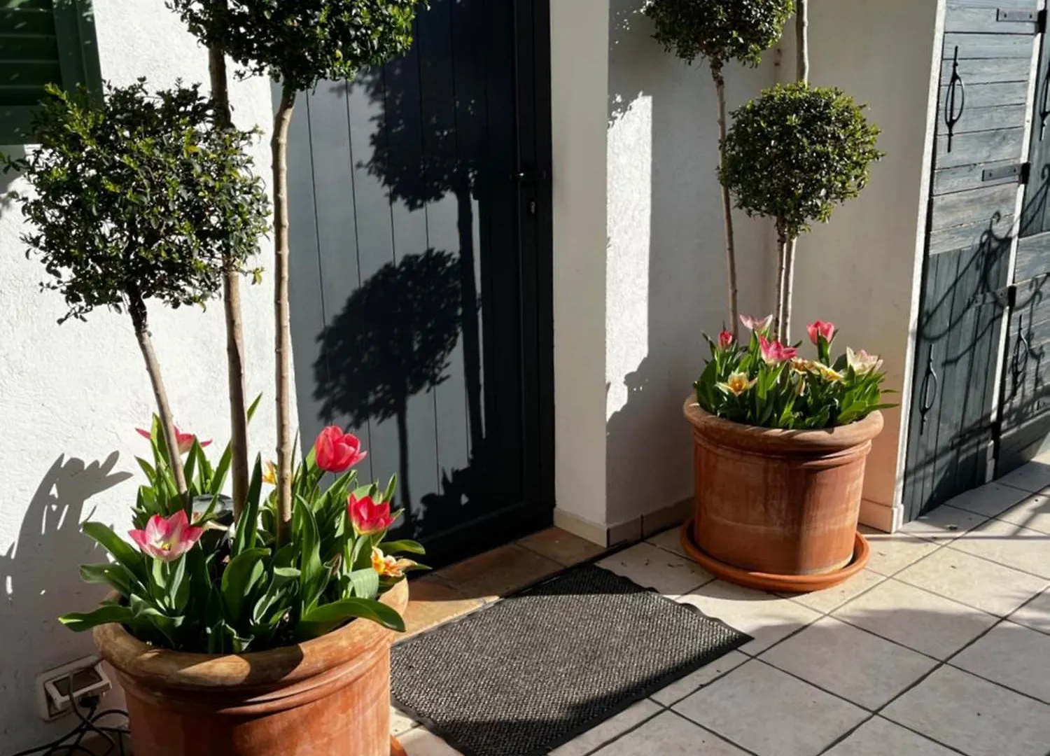 Skylark Bed & Breakfast Grasse