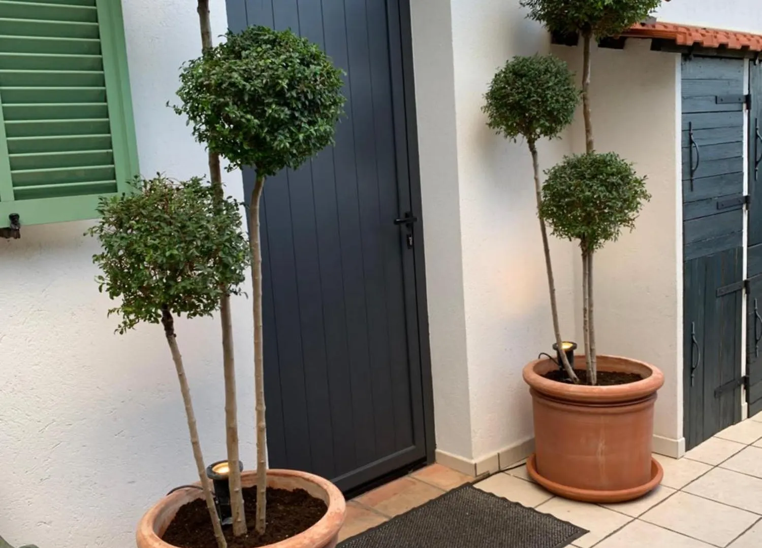 Skylark Bed & Breakfast Grasse