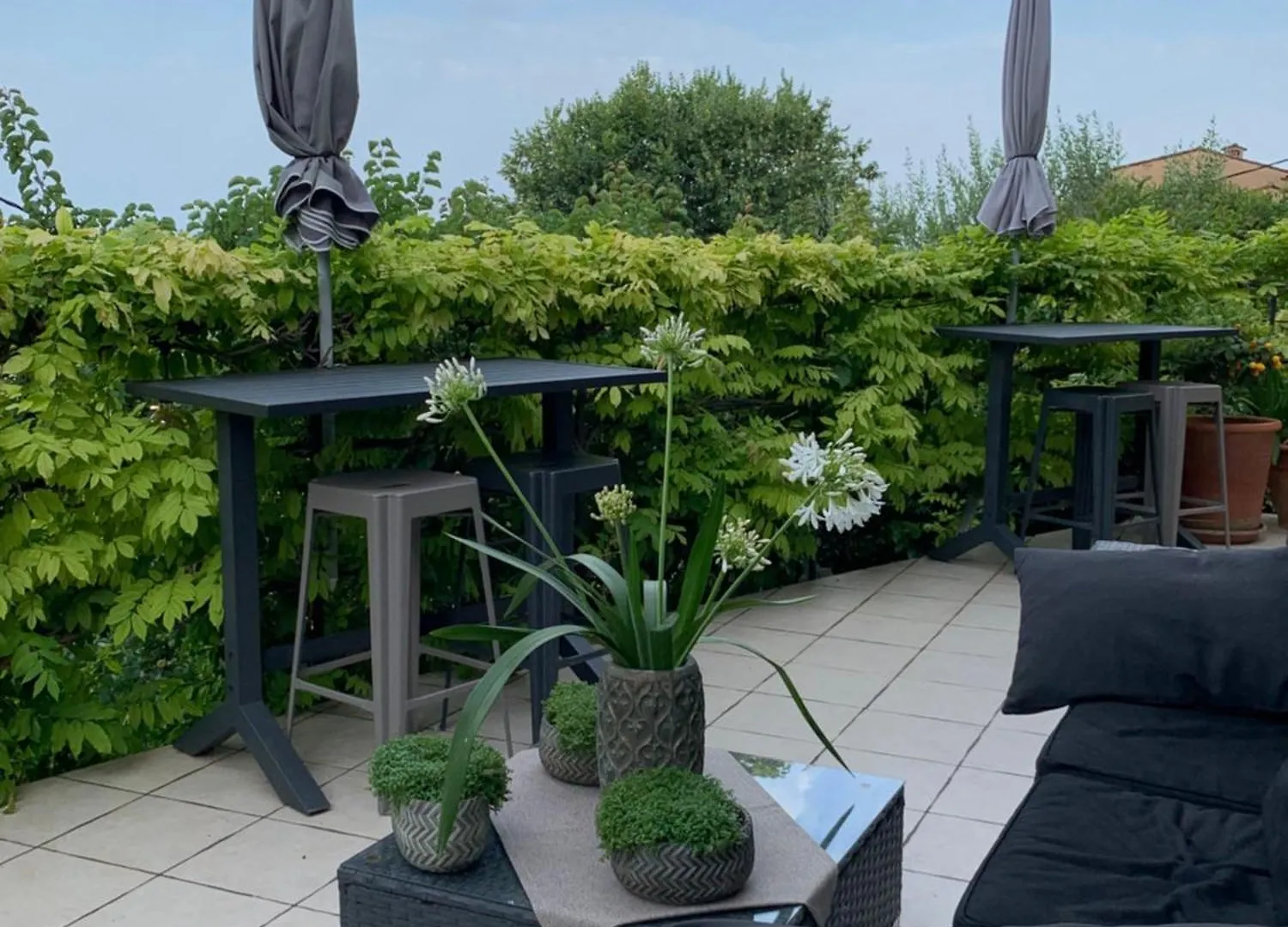 Skylark Bed & Breakfast Grasse
