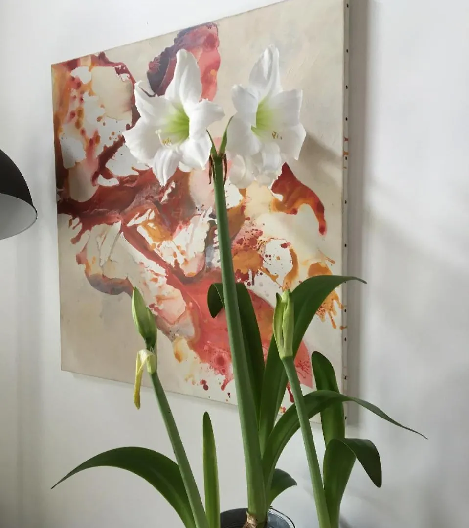 Skylark Bed & Breakfast Grasse 2*,
