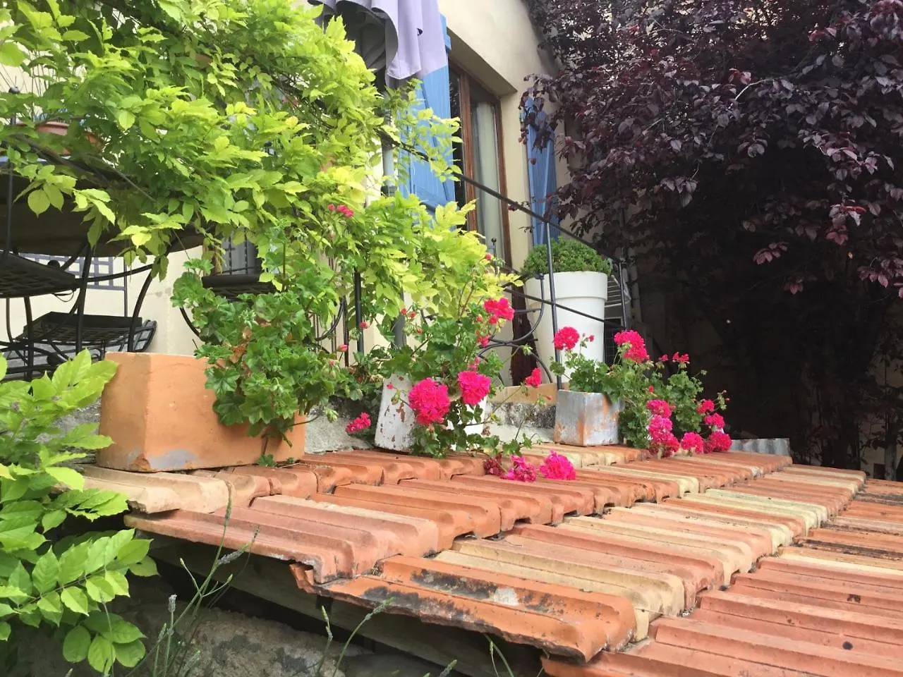 Skylark Bed & Breakfast Grasse