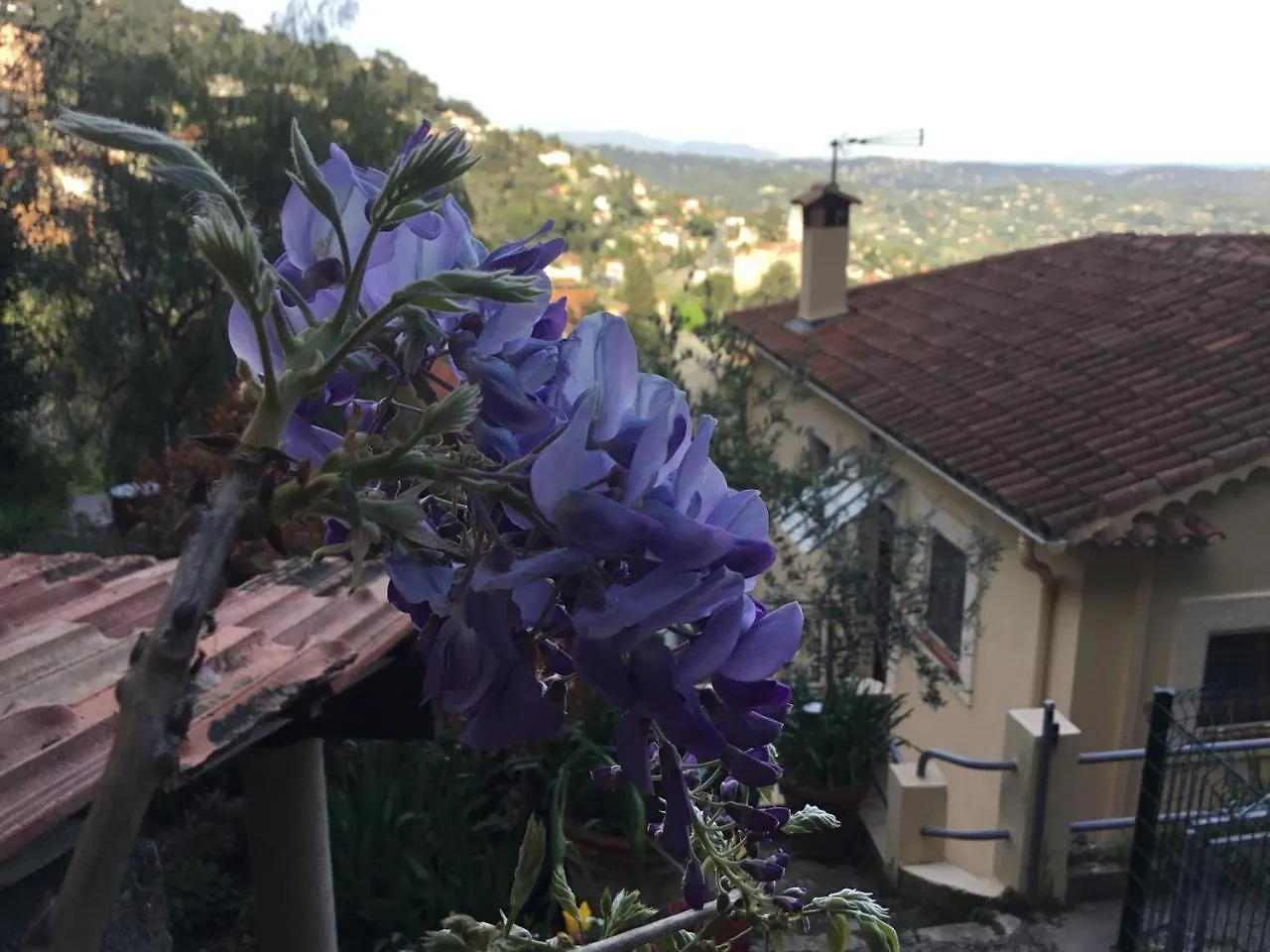 Skylark Bed & Breakfast Grasse