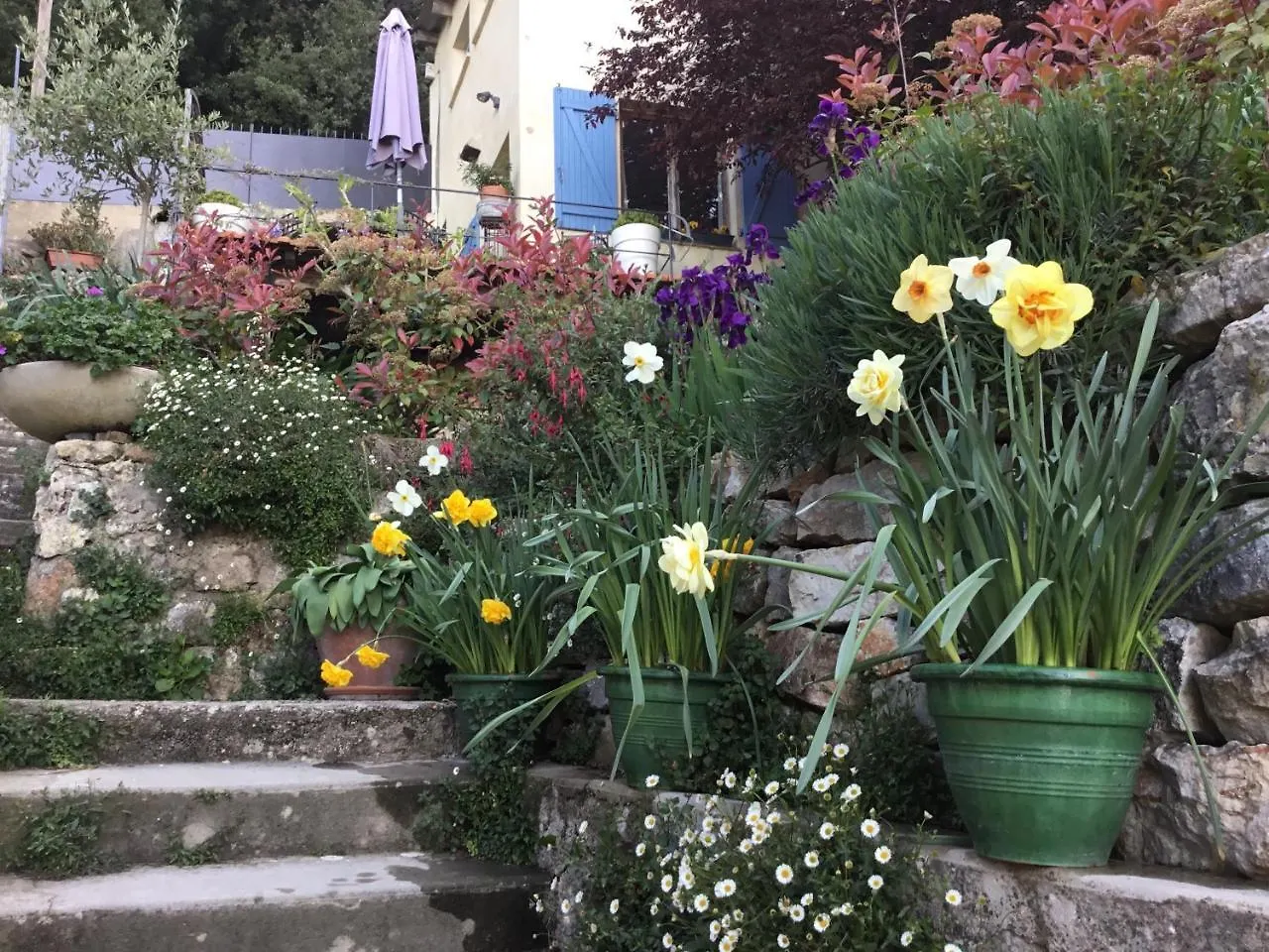 Skylark Bed & Breakfast Grasse