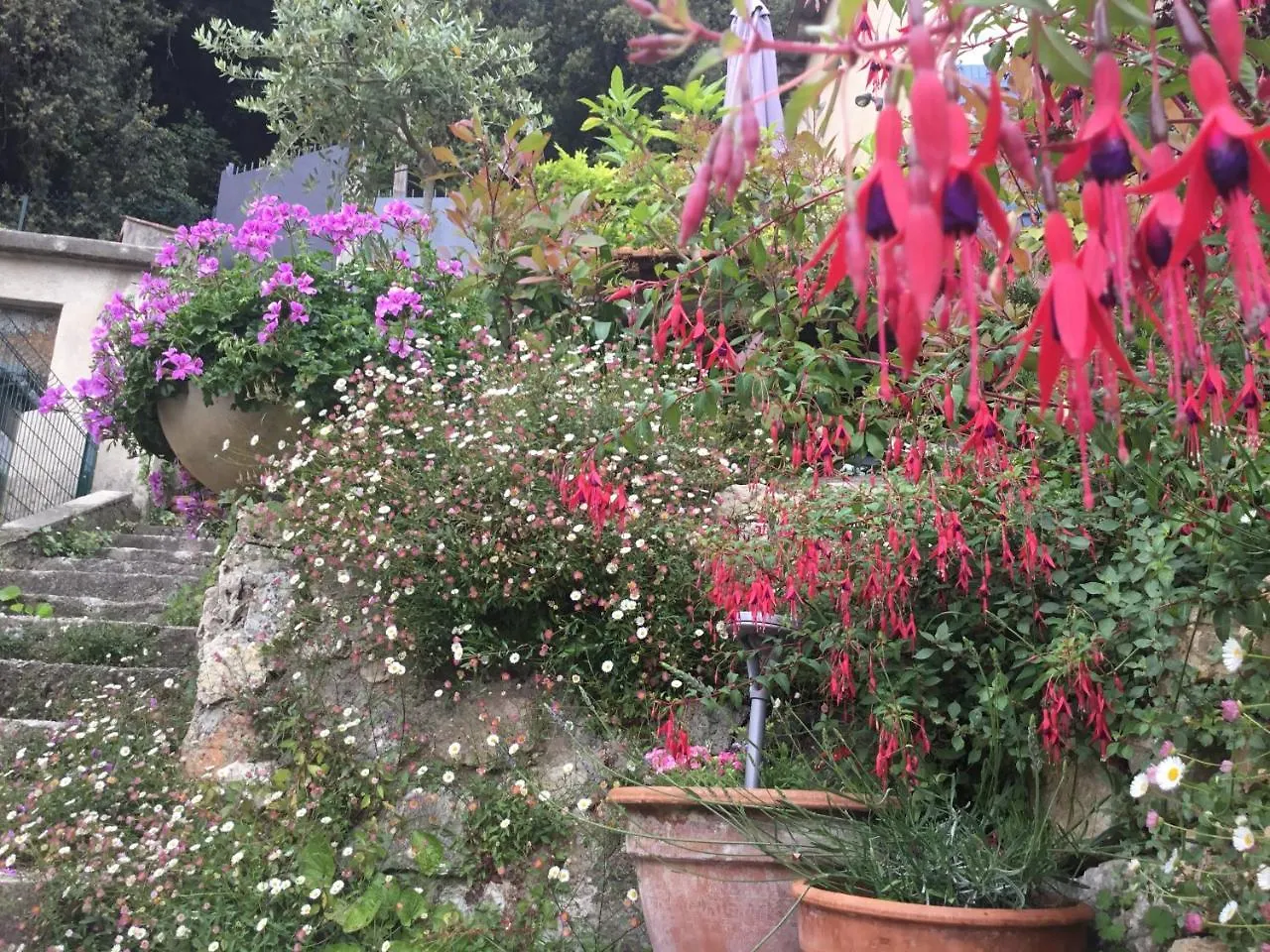 Skylark Bed & Breakfast Grasse
