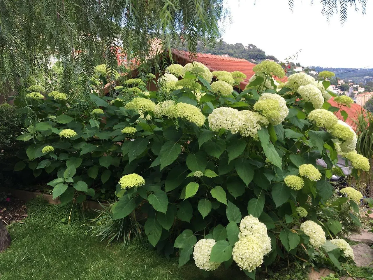 Skylark Bed & Breakfast Grasse