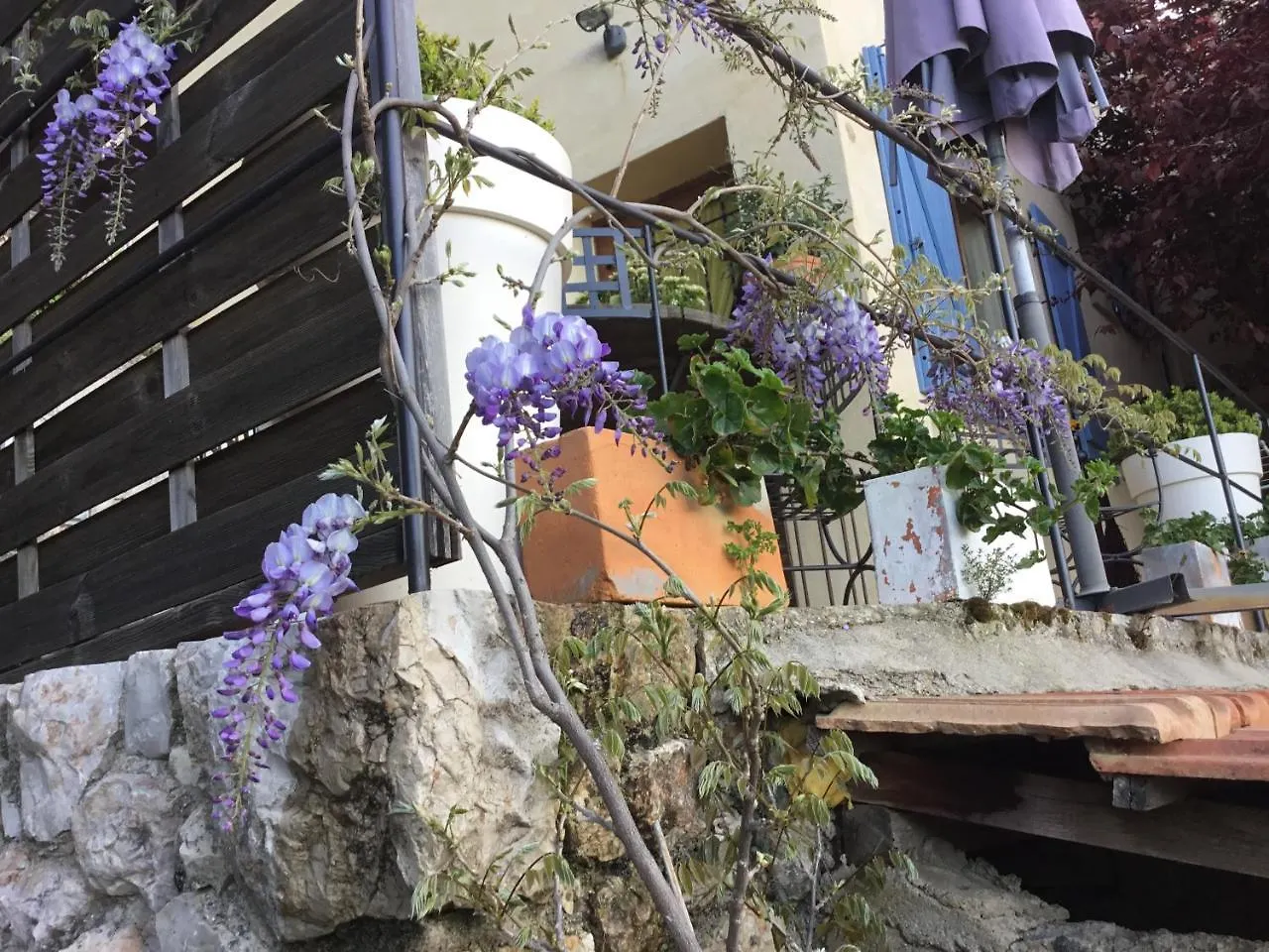 Skylark Bed & Breakfast Grasse France