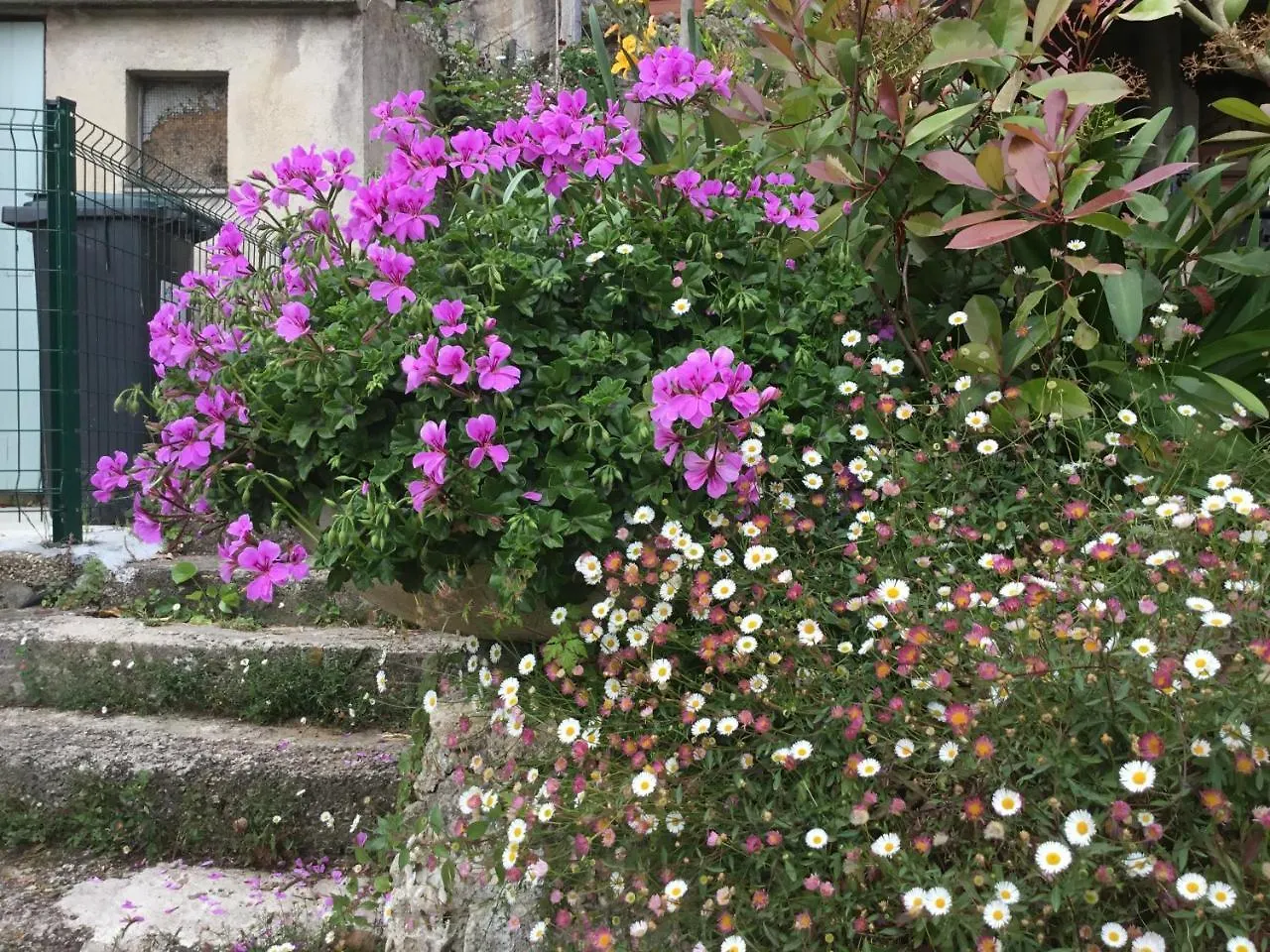 Skylark Bed & Breakfast Grasse 2*,  France