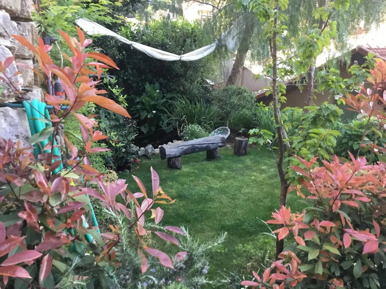**  Skylark Bed & Breakfast Grasse France